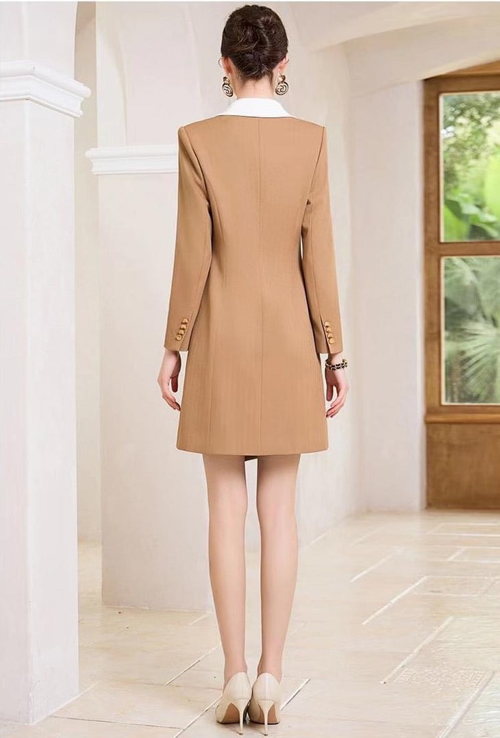 Brown  Chic Mini Dress